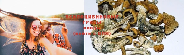 spice Абаза